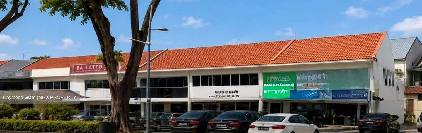 Serangoon Garden Estate (D19), Semi-Detached #594583301